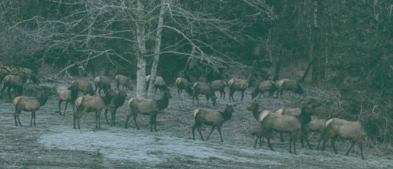Couple walking down a street.