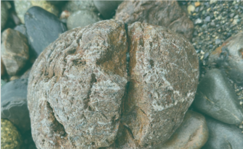 Our founder, Jane Doe